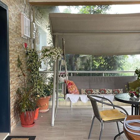 Alva Room'S Αργυρόκαστρο Εξωτερικό φωτογραφία